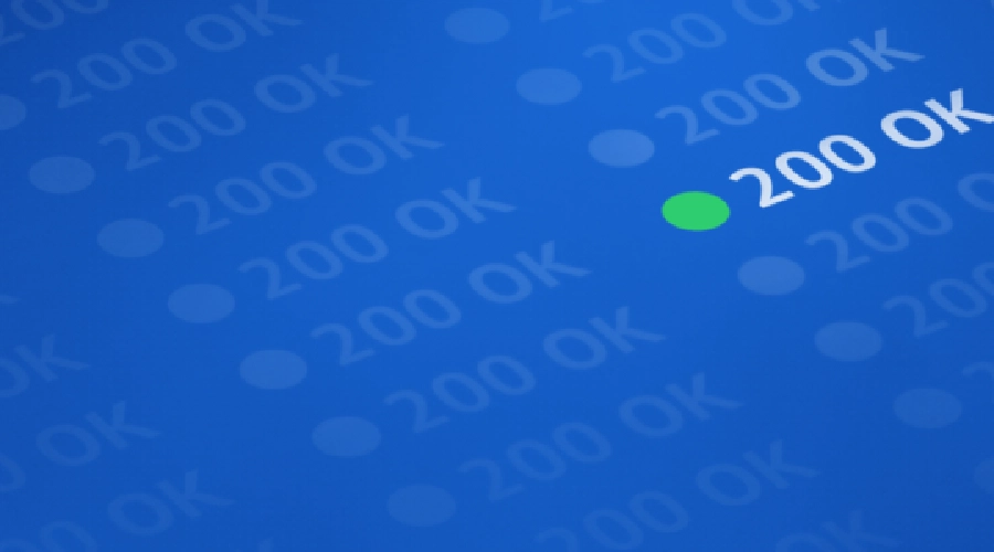 Illustration de l'article Tester ses webhooks avec RequestBin et ngrok
